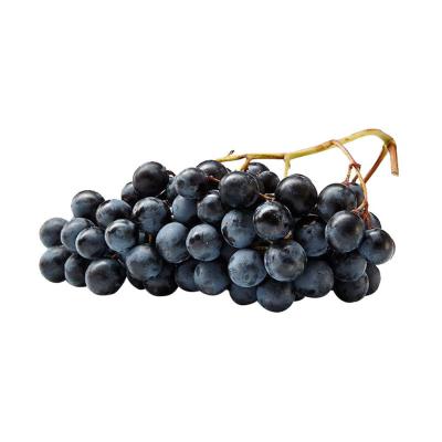 UVA VITÓRIA Sem Semente