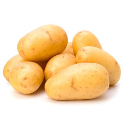 BATATA INGLESA DIVERSAS