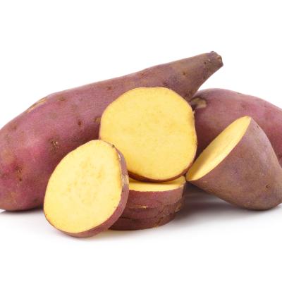 BATATA DOCE