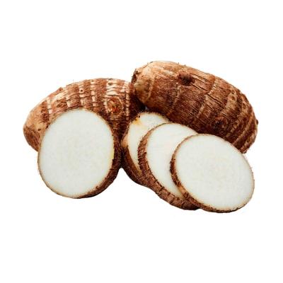 INHAME CARÁ SÃO TOMÉ