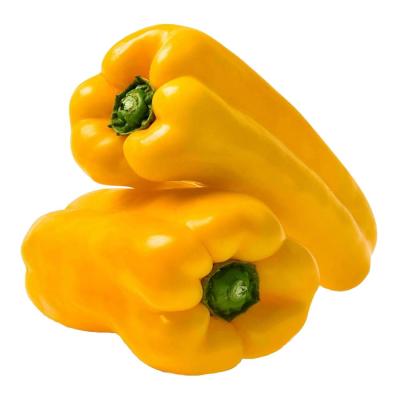 PIMENTÃO AMARELO