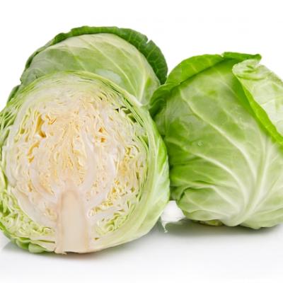 REPOLHO BRANCO/VERDE